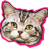 BRINGPUSSY!